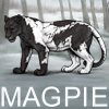 Magpie Piebald for Jaglions